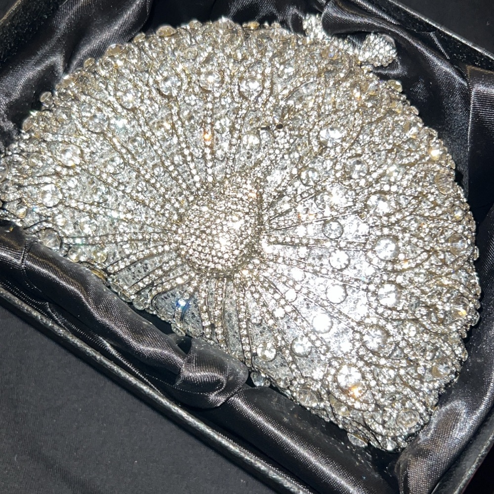 silver oval shaped evening clutch